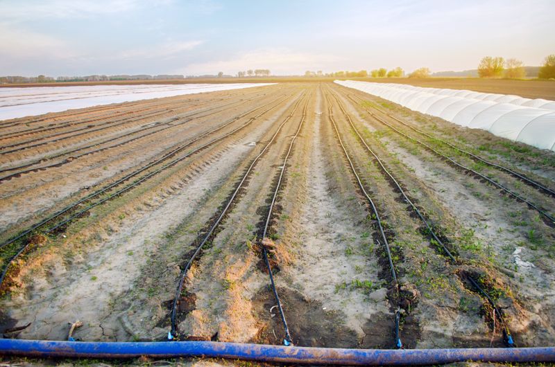 Aerial view of countryside field with soil, nature, and outdoors.