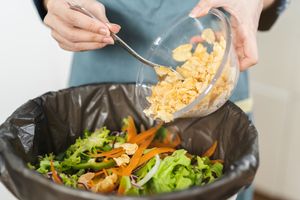 Convert organic food waste into compost or energy through proper disposal methods. Recycling food waste reduces landfill methane emissions, enriches soil, and supports sustainable waste management practices while mitigating environmental impact.