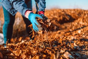 Collect and recycle organic yard waste like grass clippings and leaves. Recycling lawn waste through composting or mulching diverts material from landfills, enriches soil, and supports sustainable landscaping practices.