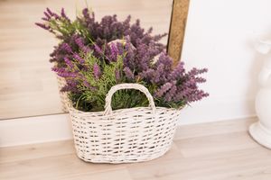 A flower, plant, lavender, and basket.