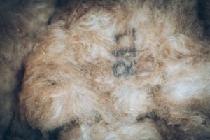 A textured wool fabric with a bear fur pattern.