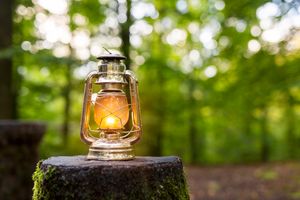 A lamp, lantern, plant, and tree in the image.