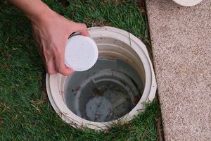 Grass, plant, drain, lawn, person, hole.