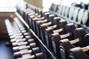 An image of gym weights for bicep curls.