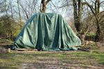 An image of a tent in a grassy woodland.